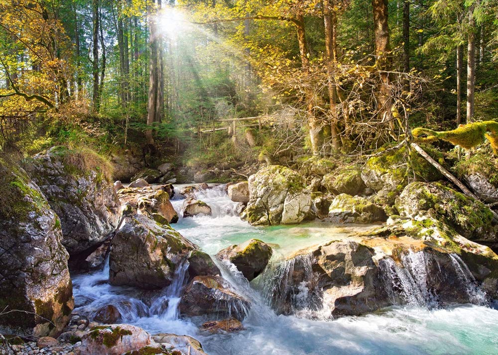 Castorland Puzzle 2000 Pieces, The Forest Stream - С-200382