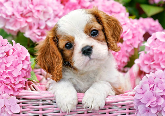 Castorland Puzzle 500 Pieces, Pup in Pink Flowers - В-52233
