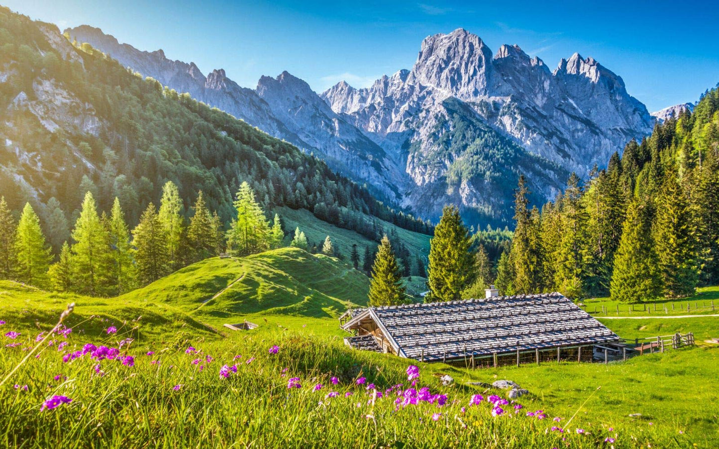 Castorland Puzzle 500 Pieces, Summer in The Alps - В-53360