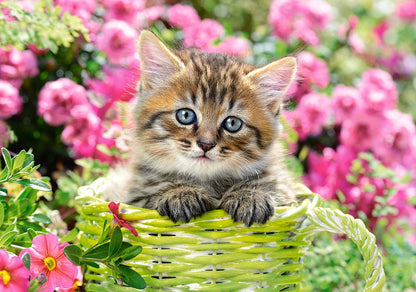 Castorland Puzzle 500 Pieces, Kitten in Flower Garden - В-52974