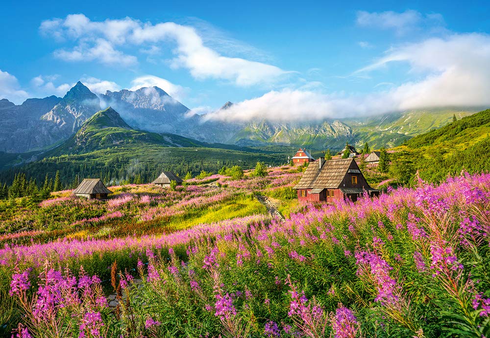 Castorland Puzzle 1000 Pieces, Hala Gasienicowa, Tatras, Poland - С-104512
